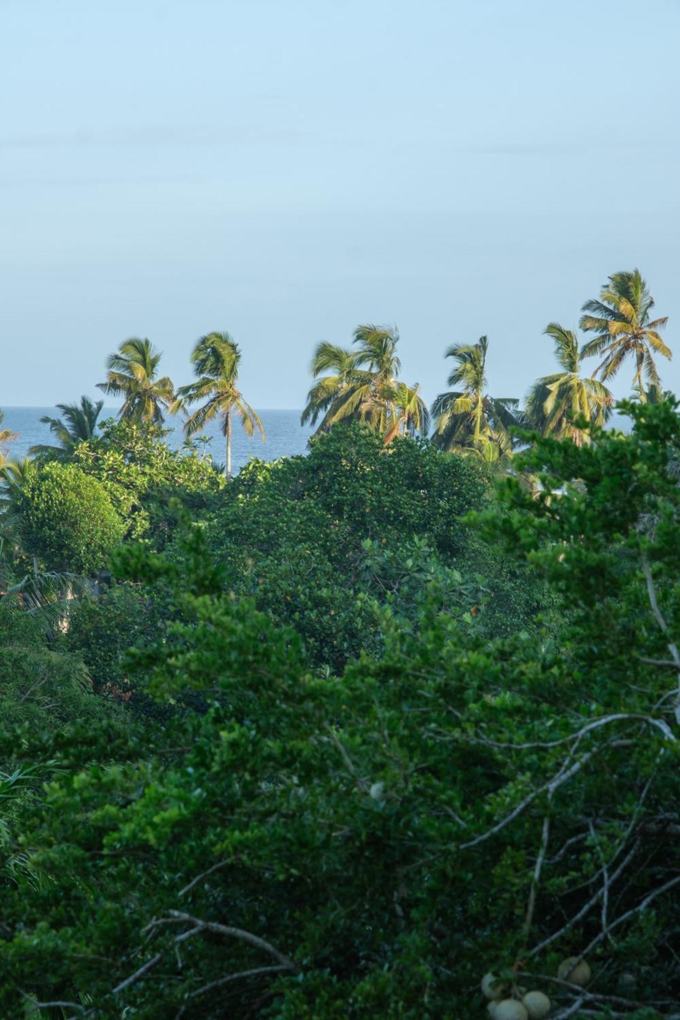 Hotel The Jungle View Mirissa Exterior foto